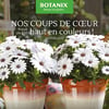 Aperçu de Circulaire Botanix