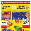 Aperçu de Circulaire Tigre Géant