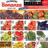Aperçu de Circulaire Bonanza