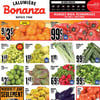 Aperçu de Circulaire Bonanza