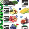 Aperçu de Circulaire TAU Marché d'alimentation Naturelle - Biologique