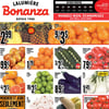 Aperçu de Circulaire Bonanza