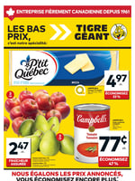 Circulaire Tigre Géant