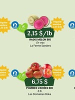 Circulaire Coop Alentour