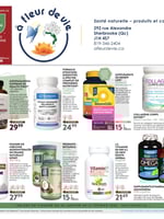 Circulaire À Fleur de Vie