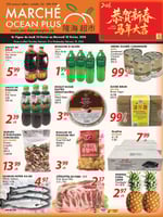 Circulaire Marché Ocean Plus