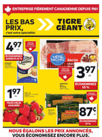 Circulaire Tigre Géant