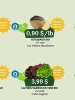 Circulaire Coop Alentour