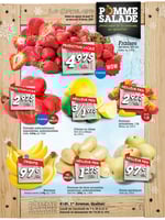 Circulaire Pomme Salade