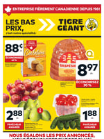 Circulaire Tigre Géant