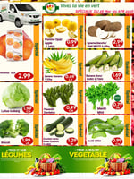 Circulaire Marché Vie en Vert