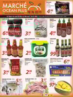 Circulaire Marché Ocean Plus