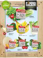 Circulaire Pomme Salade