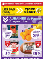 Circulaire Tigre Géant