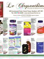 Circulaire Le Chrysanthème