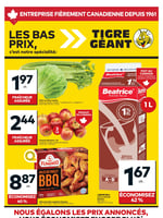 Circulaire Tigre Géant