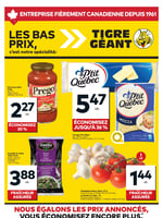 Circulaire Tigre Géant