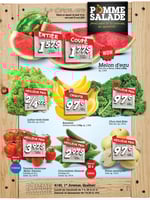 Circulaire Pomme Salade