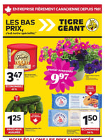 Circulaire Tigre Géant