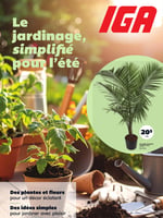 Circulaire IGA - Le jardinage simplifié pour l'été