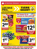 Circulaire Tigre Géant