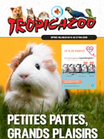 Circulaire Tropicazoo