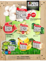 Circulaire Pomme Salade