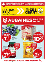 Circulaire Tigre Géant