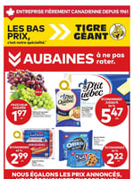 Circulaire Tigre Géant