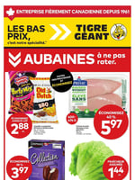 Circulaire Tigre Géant