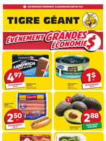 Circulaire Tigre Géant