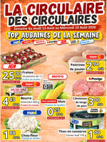 La Circulaire des Circulaires