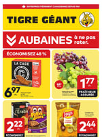 Circulaire Tigre Géant