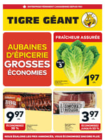 Circulaire Tigre Géant