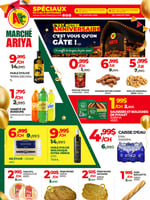 Circulaire Marché Ariya