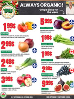 Circulaire TAU Marché d'alimentation Naturelle - Biologique