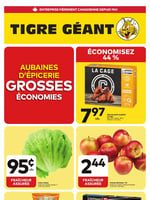Circulaire Tigre Géant
