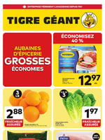 Circulaire Tigre Géant