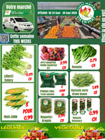Circulaire Marché Vie en Vert