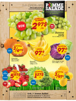 Circulaire Pomme Salade