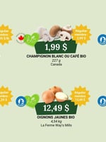 Circulaire Coop Alentour - Plus d'économies