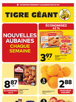 Circulaire Tigre Géant