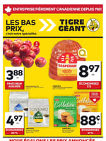 Circulaire Tigre Géant