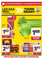 Circulaire Tigre Géant
