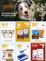 Circulaire Chico Boutique d'Animaux