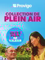 Circulaire Provigo - Collection de Plein Air