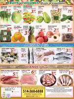 Circulaire Marché Ocean Plus