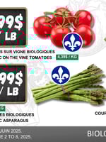 Circulaire TAU Marché d'alimentation Naturelle - Biologique