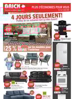 Circulaire Brick