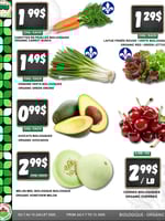 Circulaire TAU Marché d'alimentation Naturelle - Biologique